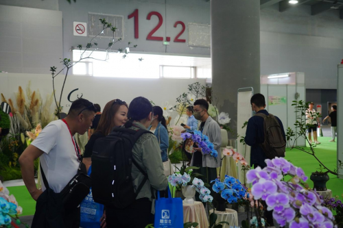 2024花城“新秀花事”亮點(diǎn)搶先看！和廣州國(guó)際花藝節(jié)一起解鎖“花經(jīng)濟(jì)”財(cái)富密碼(圖4)