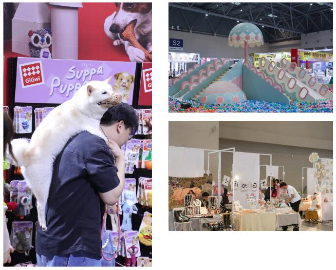 1718594223970731.jpg 3.jpg